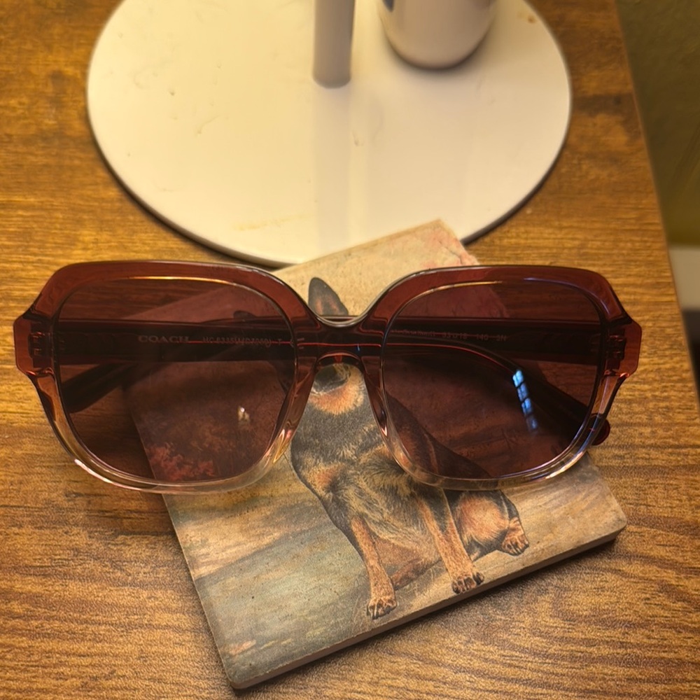 Coach Women's Sunglasses in Burgundy and Pink